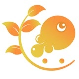 树鱼英语安装