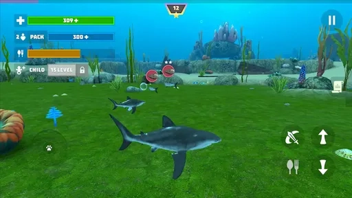 鲨鱼鱼模拟器(3)