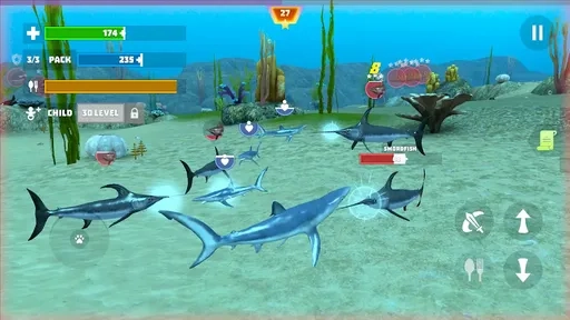鲨鱼鱼模拟器(4)
