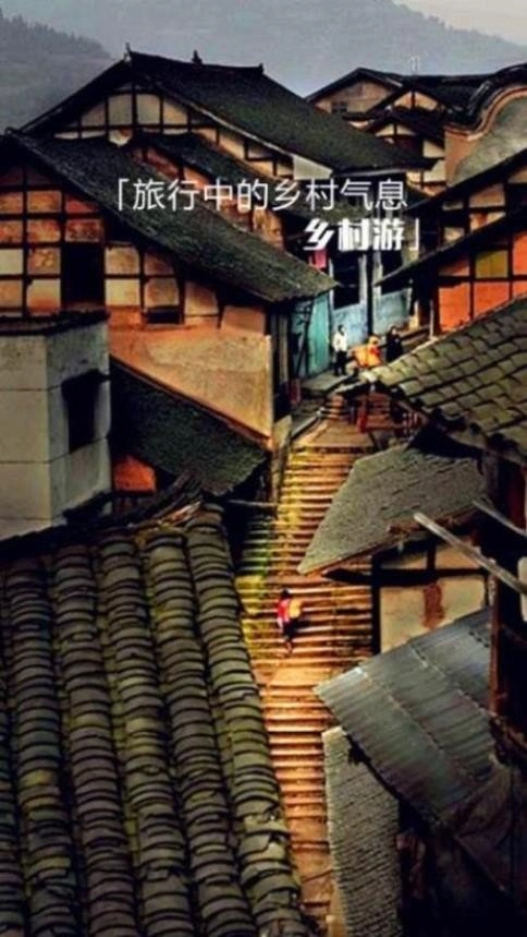 乐活旅行图3