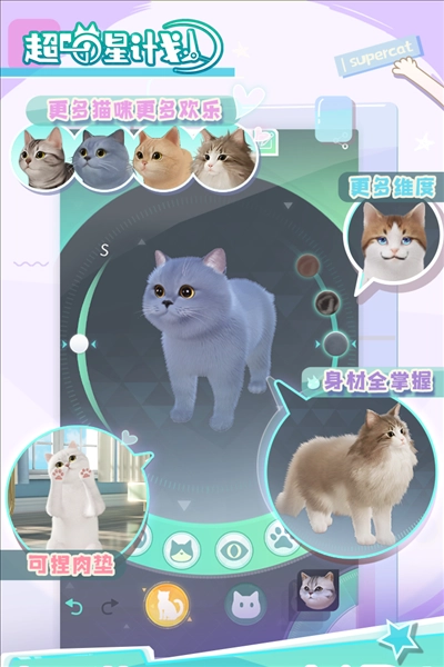 超喵星计划 41683