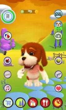 会说话的短腿狗Talking Dog Basset7