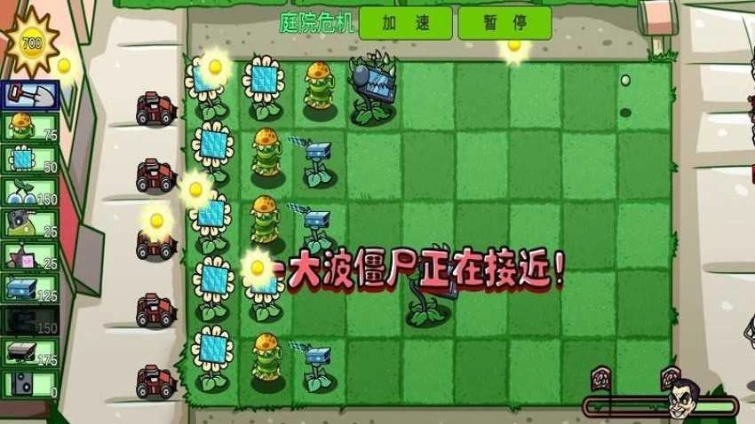 植物击退僵尸1