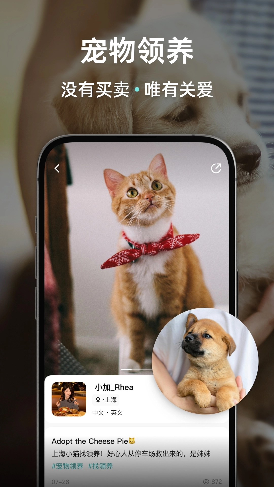 Wellcee唯心所寓 -图4