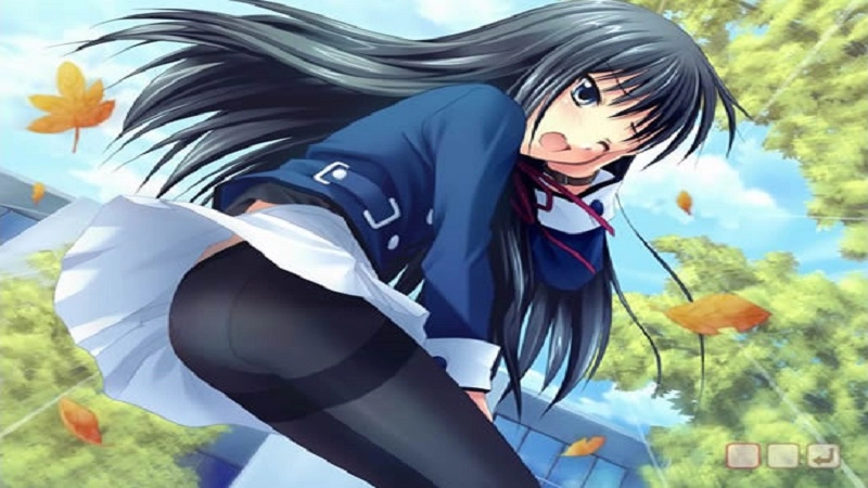 阳光下的真实电脑版