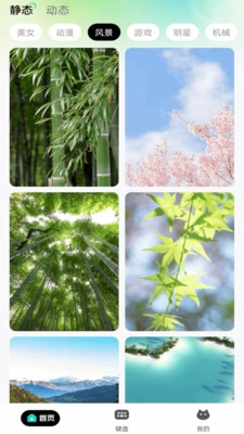 绘壁纸(3)