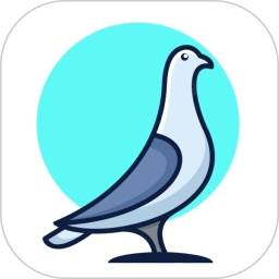 鸽手 V4.1.6