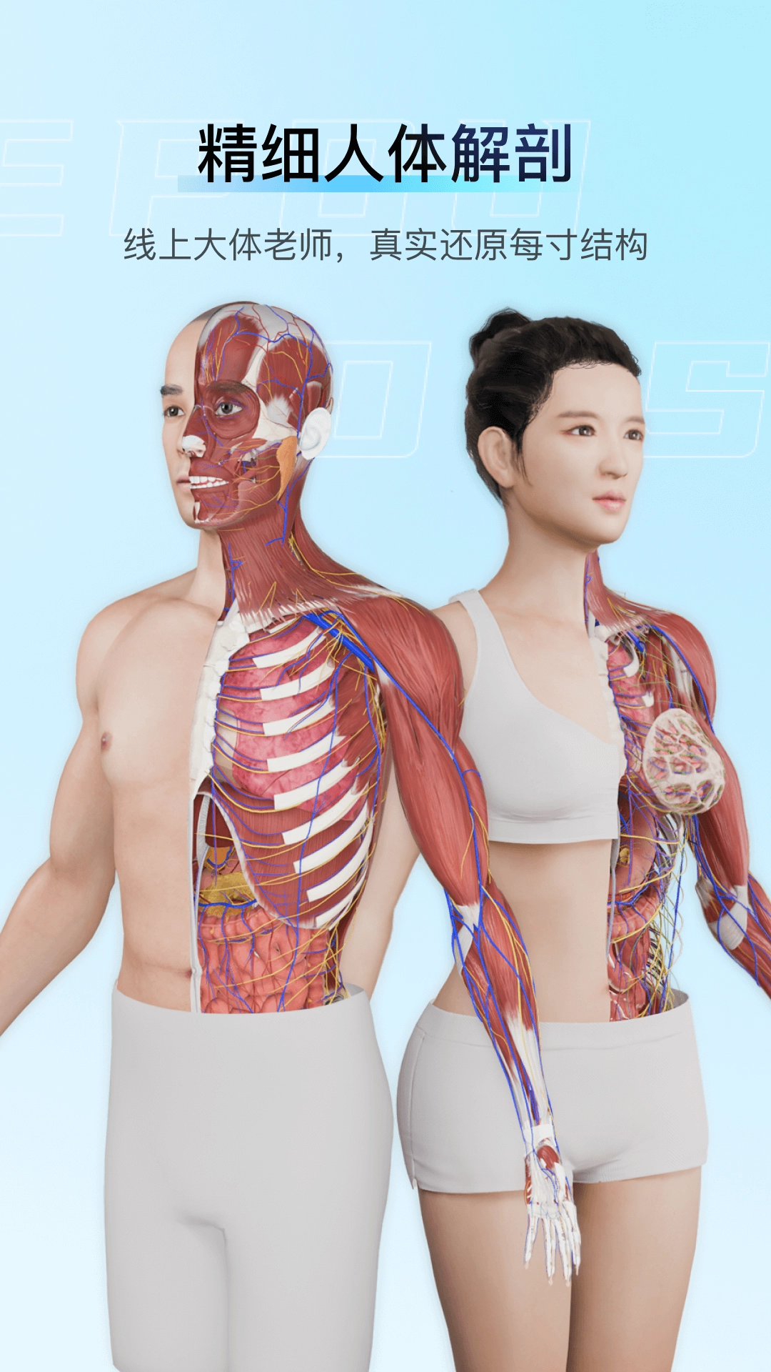 解剖大师 (1)
