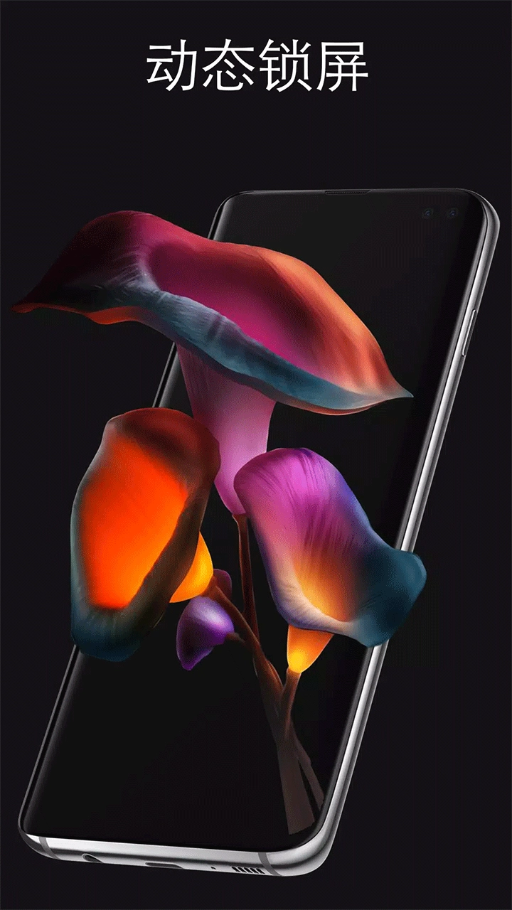 Pixel4D动态壁纸安装 图2