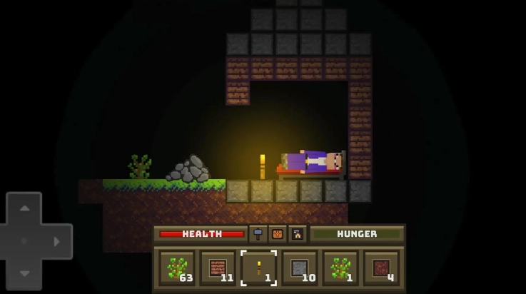 菜鸟生存模拟器 