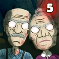 爷爷和奶奶5起源游戏 Granny and Grandpa 5 Origin