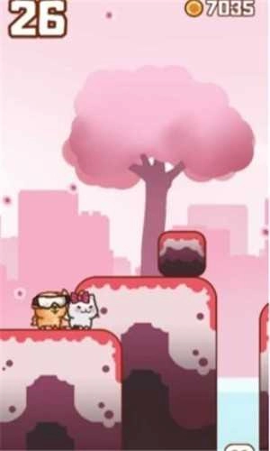 跳跳宠物小队3 (2)