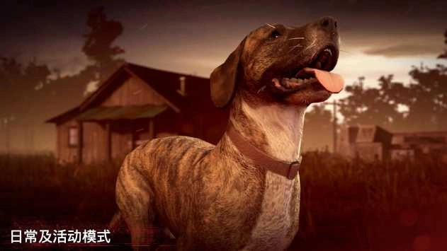 勇闯死人谷2正版图1