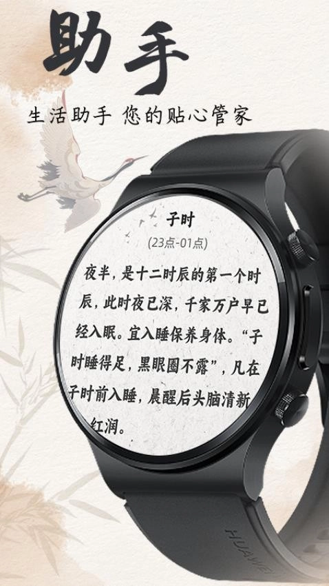 养生钟图1