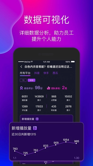 艾视嘉图2