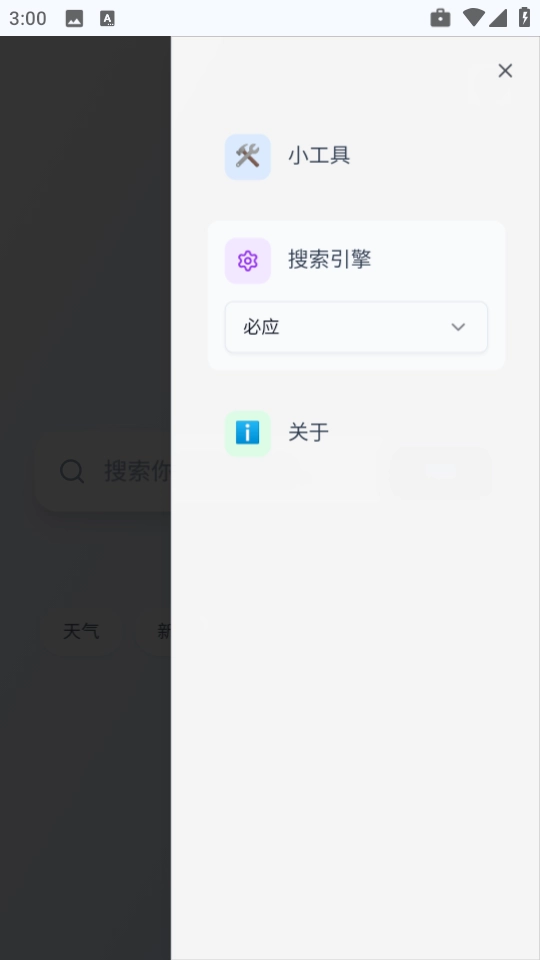 qing浏览器 (2)