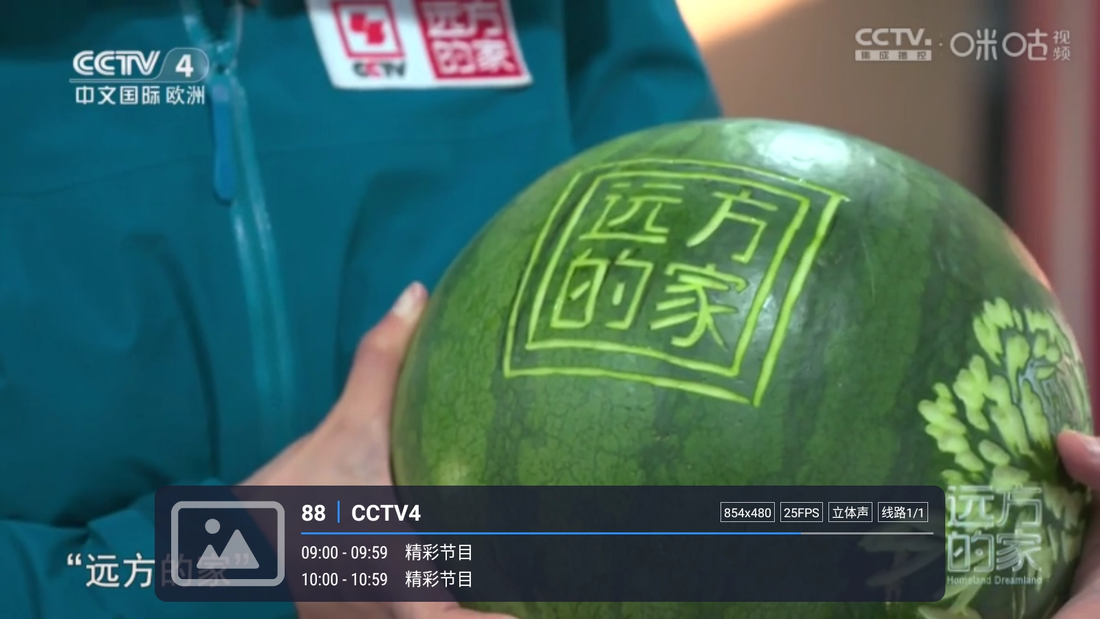 嘉庆TV图4
