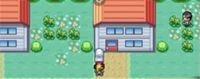 口袋妖怪格查尔联机版(2)