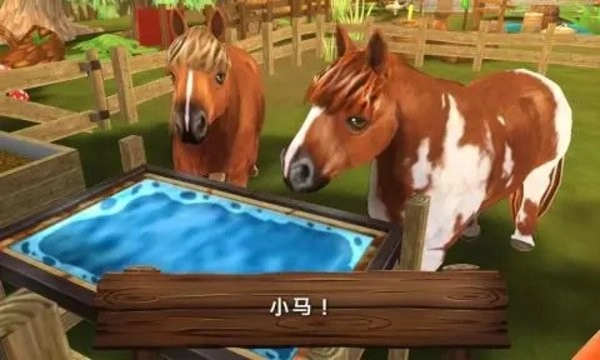 动物旅馆手机版图1