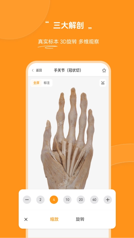 芝士医生图2