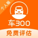 车300二手车估价