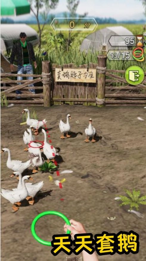 天天套圈中文版下载