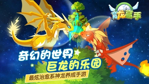 育龙高手图1