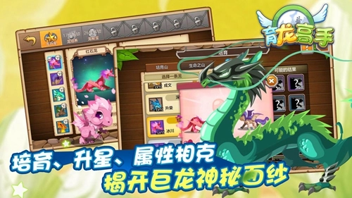 育龙高手图4