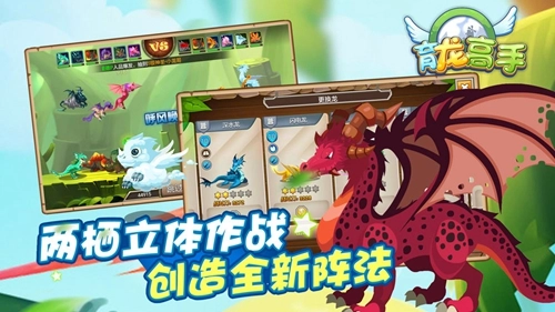 育龙高手图5