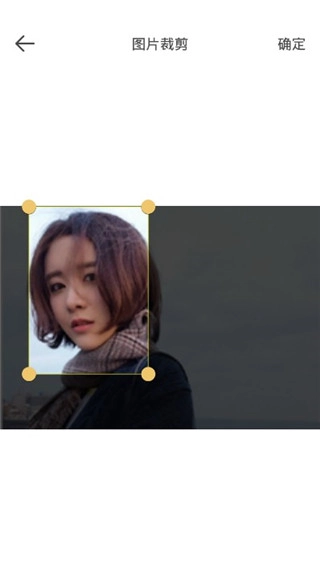 标准证件照安装包下载