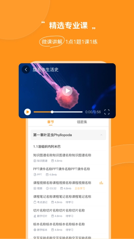 芝士医生图1