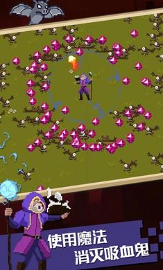 吸血鬼幸存者2(1)