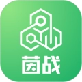 运动派
