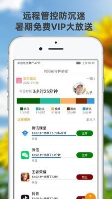 向阳花守护图3