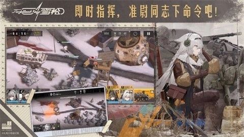 雪松图5