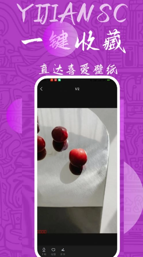 量岛图3
