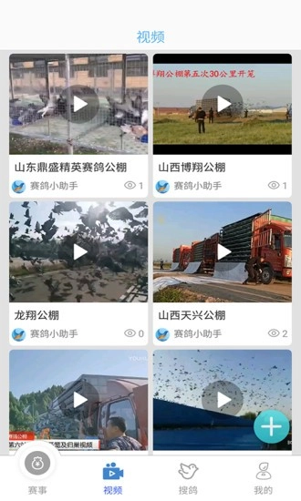 赛鸽助手软件图3