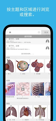 2026人体解剖学图谱(5)