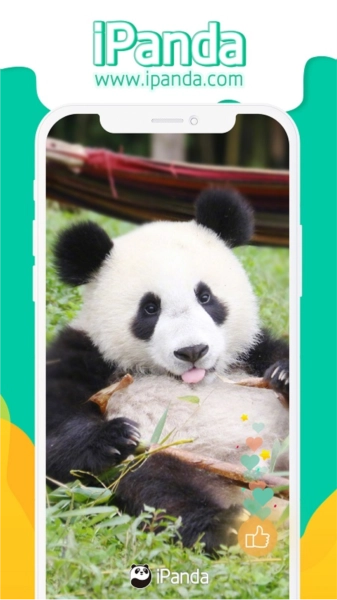 iPanda熊猫频道最新版图1