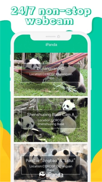 iPanda熊猫频道最新版图2
