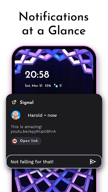 Niagara桌面启动器付费版截图3