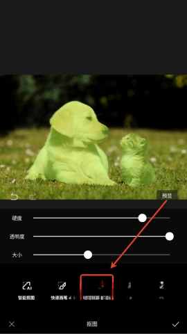 醒图最新解锁版截图2