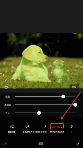 醒图最新解锁版截图3