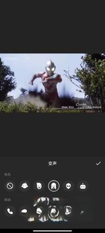 inshot正版图5
