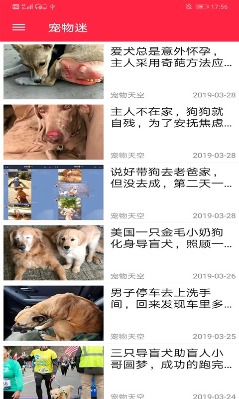 火猫宠社图2