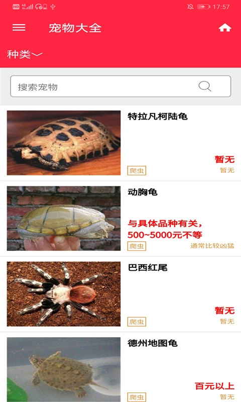 火猫宠社图1