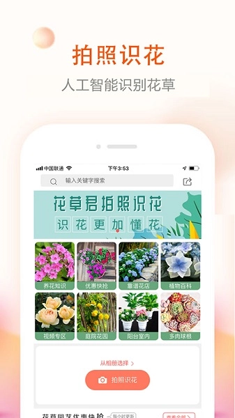 花草君图1