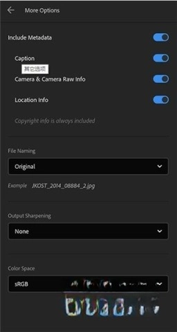 lightroom移动版-图1