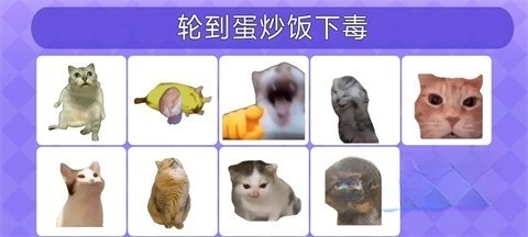 女巫的毒药猫meme版