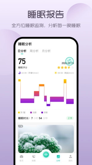 萤火虫睡眠2026图1